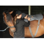 Equilibrium Massage Pad - 3 Length Sizes Available 
